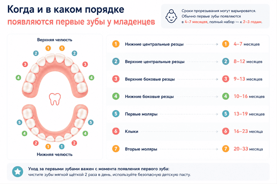 Когда и в каком порядке появляются первые зубы
